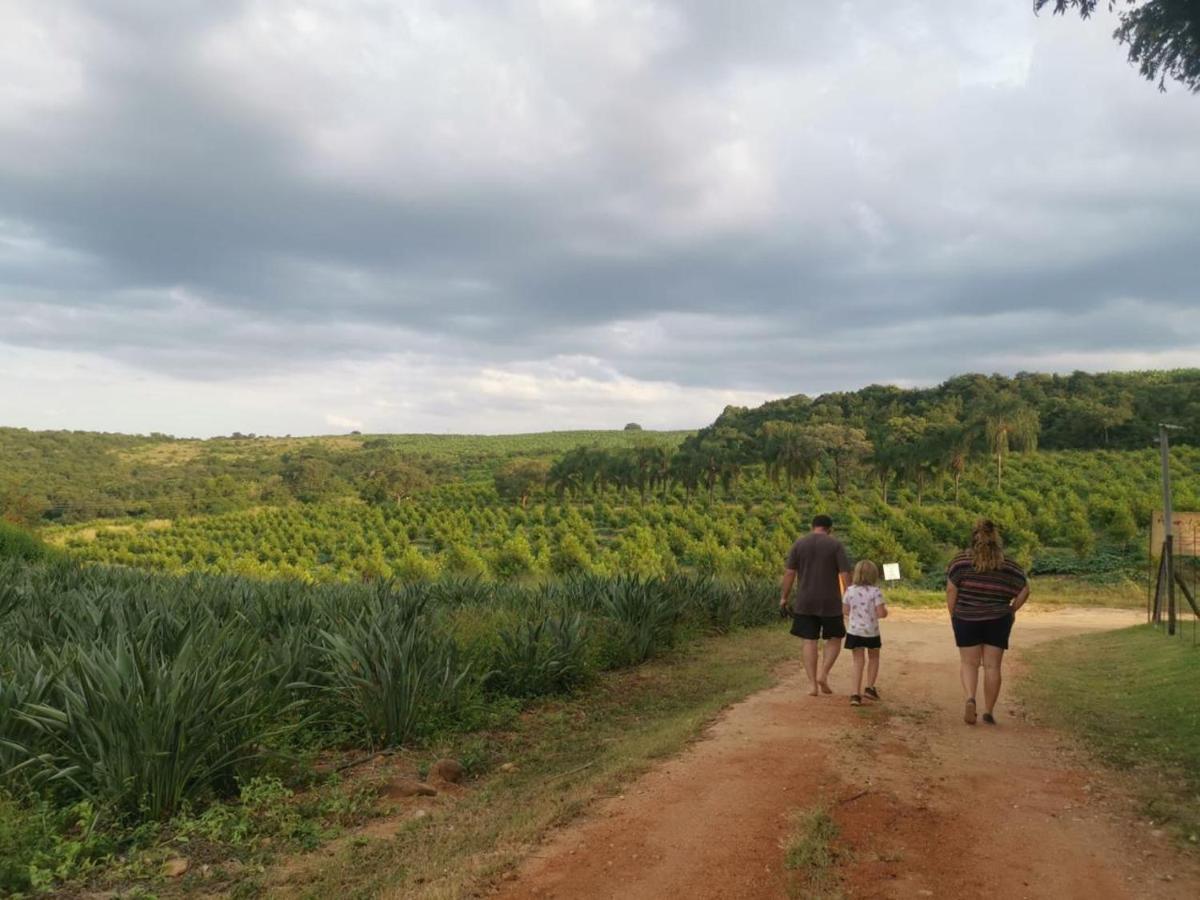 Ulwazi Rock Lodge Hazyview Buitenkant foto